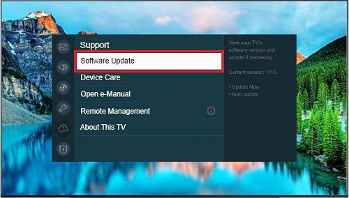 How do I update the software on my Samsung Smart TV?